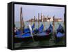 Gondolas near Piazza San Marco, Venice, Italy-Tom Haseltine-Framed Stretched Canvas