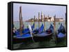 Gondolas near Piazza San Marco, Venice, Italy-Tom Haseltine-Framed Stretched Canvas