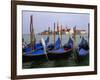 Gondolas near Piazza San Marco, Venice, Italy-Tom Haseltine-Framed Photographic Print