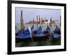 Gondolas near Piazza San Marco, Venice, Italy-Tom Haseltine-Framed Photographic Print