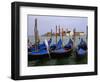 Gondolas near Piazza San Marco, Venice, Italy-Tom Haseltine-Framed Photographic Print