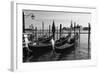 Gondolas of St Marks Square, Venice, Italy-George Oze-Framed Photographic Print