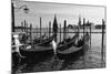 Gondolas of St Marks Square, Venice, Italy-George Oze-Mounted Photographic Print