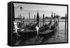 Gondolas of St Marks Square, Venice, Italy-George Oze-Framed Stretched Canvas