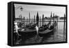Gondolas of St Marks Square, Venice, Italy-George Oze-Framed Stretched Canvas