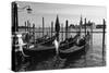 Gondolas of St Marks Square, Venice, Italy-George Oze-Stretched Canvas