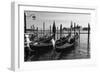 Gondolas of St Marks Square, Venice, Italy-George Oze-Framed Photographic Print