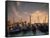 Gondolas, Venice, Italy-Angelo Cavalli-Framed Stretched Canvas