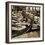 Gondolas, Venice, Italy-Jon Arnold-Framed Photographic Print