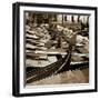 Gondolas, Venice, Italy-Jon Arnold-Framed Photographic Print