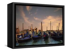 Gondolas, Venice, Italy-Angelo Cavalli-Framed Stretched Canvas