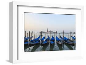 Gondolas, Venice, Italy-Fraser Hall-Framed Photographic Print