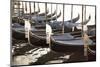 Gondolas, Venice, UNESCO World Heritage Site, Veneto, Italy, Europe-Amanda Hall-Mounted Photographic Print