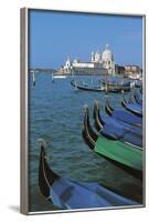 Gondolas-null-Framed Photographic Print