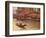 Gondoliers on the Grand Canal, Venice, Italy-Stuart Westmoreland-Framed Photographic Print