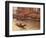 Gondoliers on the Grand Canal, Venice, Italy-Stuart Westmoreland-Framed Photographic Print