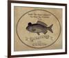 Gone Fishin' II-The Vintage Collection-Framed Giclee Print