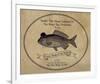 Gone Fishin' II-The Vintage Collection-Framed Giclee Print