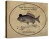 Gone Fishin' II-The Vintage Collection-Stretched Canvas