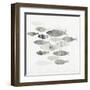 Gone Fishing II-Aimee Wilson-Framed Art Print