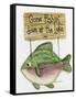 Gone Fishing-Debbie McMaster-Framed Stretched Canvas