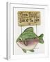 Gone Fishing-Debbie McMaster-Framed Giclee Print