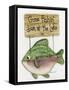 Gone Fishing-Debbie McMaster-Framed Stretched Canvas