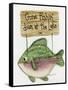 Gone Fishing-Debbie McMaster-Framed Stretched Canvas