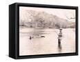 Canvas Black