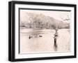 Black Frame