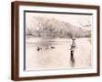 Brown Frame