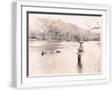 White Frame