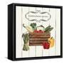 Gone to Market Fresh Veggies-Marco Fabiano-Framed Stretched Canvas
