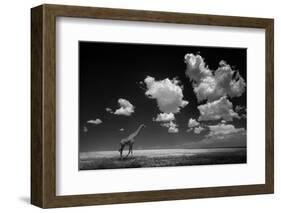 Gone with the Clouds-Alberto Ghizzi Panizza-Framed Photographic Print