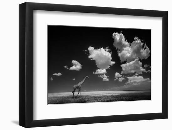 Gone with the Clouds-Alberto Ghizzi Panizza-Framed Photographic Print