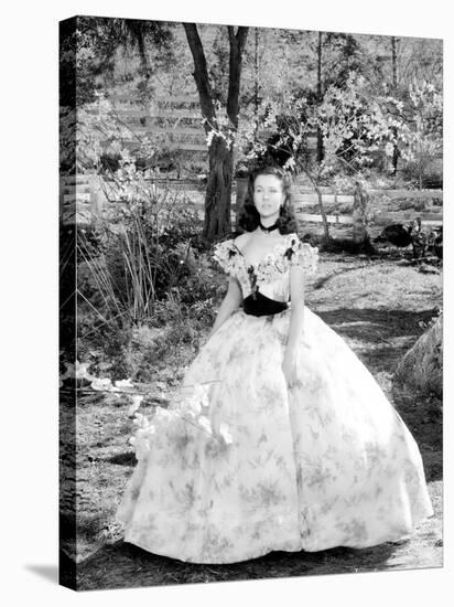 Gone with the Wind, Vivien Leigh at Tara Plantation, 1939-null-Stretched Canvas