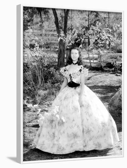 Gone with the Wind, Vivien Leigh at Tara Plantation, 1939-null-Framed Photo