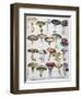 Good and Bad Mushrooms, 1896-null-Framed Giclee Print