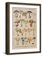 Good and Bad Mushrooms, Illustration from the Illustrated Supplement of Le Petit Journal-French-Framed Giclee Print