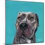 Good Boy-Melissa Symons-Mounted Art Print