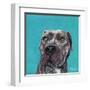 Good Boy-Melissa Symons-Framed Art Print