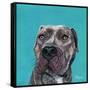 Good Boy-Melissa Symons-Framed Stretched Canvas