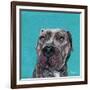 Good Boy-Melissa Symons-Framed Art Print