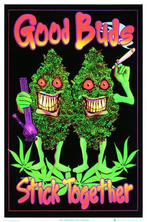 Good Buds Stick Together Pot Marijuana Blacklight Poster Print' Prints |  AllPosters.com