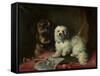 Good Companions-Thomas Earl-Framed Stretched Canvas