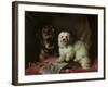 Good Companions-Thomas Earl-Framed Giclee Print