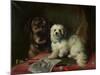 Good Companions-Thomas Earl-Mounted Giclee Print