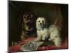 Good Companions-Thomas Earl-Mounted Giclee Print