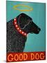 Good Dog Black-Stephen Huneck-Mounted Giclee Print