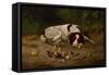 Good Doggy, 1883-Arthur Fitzwilliam Tait-Framed Stretched Canvas